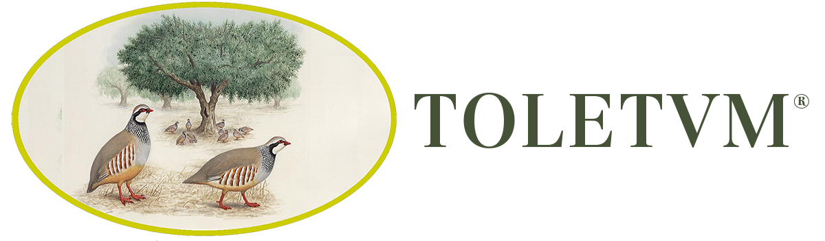 Logotipo aceites Toletum